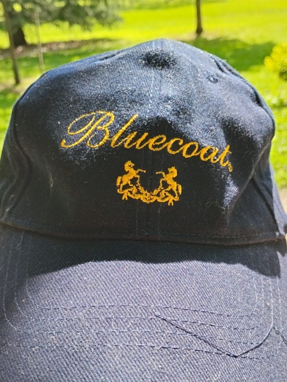 Bluecoat Embroidered Navy Baseball Cap with Gold Script